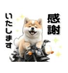 敬語♡バイク好き 豆柴（個別スタンプ：10）