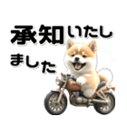 敬語♡バイク好き 豆柴（個別スタンプ：11）