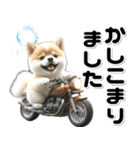 敬語♡バイク好き 豆柴（個別スタンプ：12）