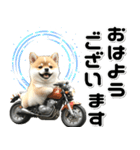 敬語♡バイク好き 豆柴（個別スタンプ：14）