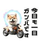 敬語♡バイク好き 豆柴（個別スタンプ：18）