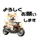 敬語♡バイク好き 豆柴（個別スタンプ：19）