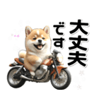 敬語♡バイク好き 豆柴（個別スタンプ：20）