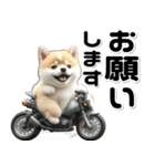 敬語♡バイク好き 豆柴（個別スタンプ：21）