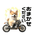 敬語♡バイク好き 豆柴（個別スタンプ：22）