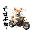 敬語♡バイク好き 豆柴（個別スタンプ：23）