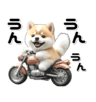 敬語♡バイク好き 豆柴（個別スタンプ：25）