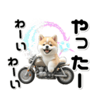 敬語♡バイク好き 豆柴（個別スタンプ：26）