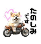 敬語♡バイク好き 豆柴（個別スタンプ：27）