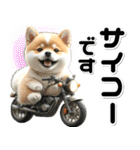 敬語♡バイク好き 豆柴（個別スタンプ：28）