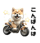 敬語♡バイク好き 豆柴（個別スタンプ：30）