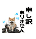 敬語♡バイク好き 豆柴（個別スタンプ：31）