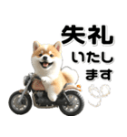 敬語♡バイク好き 豆柴（個別スタンプ：32）