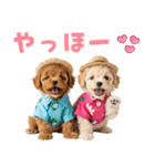 プードルの夏（個別スタンプ：2）