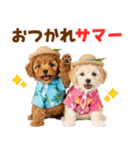 プードルの夏（個別スタンプ：4）