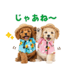 プードルの夏（個別スタンプ：6）