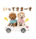 プードルの夏（個別スタンプ：8）