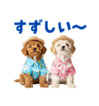 プードルの夏（個別スタンプ：12）