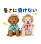 プードルの夏（個別スタンプ：15）