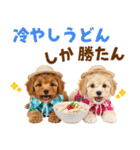 プードルの夏（個別スタンプ：23）