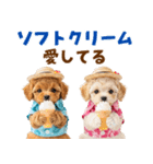 プードルの夏（個別スタンプ：24）