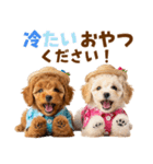 プードルの夏（個別スタンプ：25）