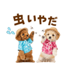 プードルの夏（個別スタンプ：28）