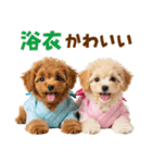 プードルの夏（個別スタンプ：31）