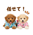 プードルの夏（個別スタンプ：34）