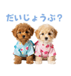 プードルの夏（個別スタンプ：36）