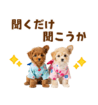 プードルの夏（個別スタンプ：37）