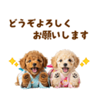 プードルの夏（個別スタンプ：38）