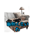 根が（ネガティブ）ポジティブ関西（個別スタンプ：27）