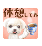 【マルチーズのおうち】動くよ！Pop-Up（個別スタンプ：10）