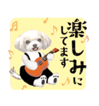 【マルチーズのおうち】動くよ！Pop-Up（個別スタンプ：17）
