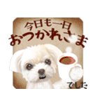 【マルチーズのおうち】動くよ！Pop-Up（個別スタンプ：24）
