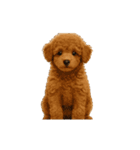動く！リアルな犬猫たち（猫多め）（個別スタンプ：1）