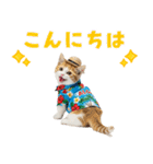 でか文字！夏のミヌエット（個別スタンプ：3）