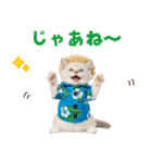 でか文字！夏のミヌエット（個別スタンプ：6）