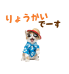 でか文字！夏のミヌエット（個別スタンプ：7）