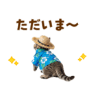 でか文字！夏のミヌエット（個別スタンプ：9）