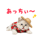 でか文字！夏のミヌエット（個別スタンプ：10）