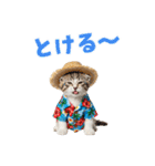 でか文字！夏のミヌエット（個別スタンプ：11）