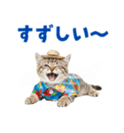 でか文字！夏のミヌエット（個別スタンプ：12）