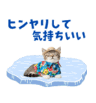 でか文字！夏のミヌエット（個別スタンプ：13）