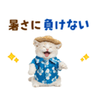 でか文字！夏のミヌエット（個別スタンプ：15）