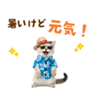 でか文字！夏のミヌエット（個別スタンプ：17）