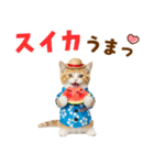 でか文字！夏のミヌエット（個別スタンプ：18）