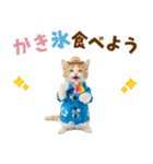 でか文字！夏のミヌエット（個別スタンプ：19）