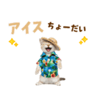 でか文字！夏のミヌエット（個別スタンプ：20）